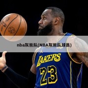 nba灰熊队(NBA灰熊队球员)