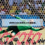 世界杯2006(世界杯2006赛程表)