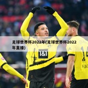 足球世界杯2022年(足球世界杯2022年直播)