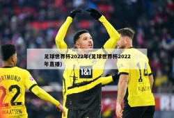 足球世界杯2022年(足球世界杯2022年直播)