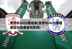 世界杯2022赛程表(世界杯2022赛程表比分结果查询官网)