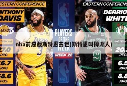 nba前总裁斯特恩去世(斯特恩叫停湖人)