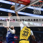 nba公牛vs热火(公牛vs热火黑色三分钟)