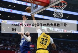 nba公牛vs热火(公牛vs热火黑色三分钟)