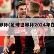 足球世界杯(足球世界杯2024年在哪举办)