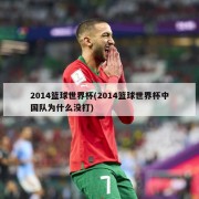 2014篮球世界杯(2014篮球世界杯中国队为什么没打)