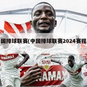 中国排球联赛(中国排球联赛2024赛程表)